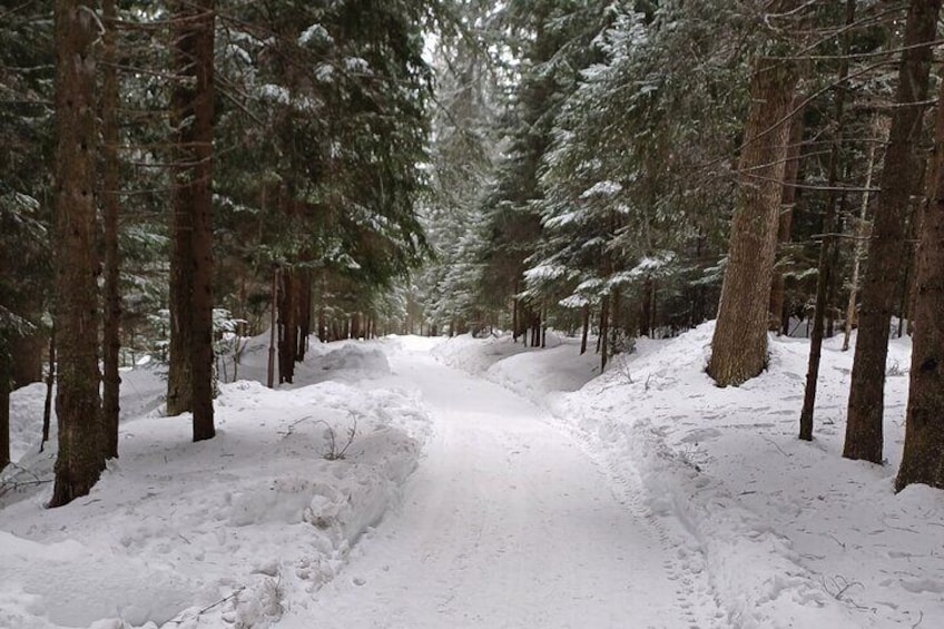 Hike and Sled in Borovets With a Visit of Royal Bistritsa Palace