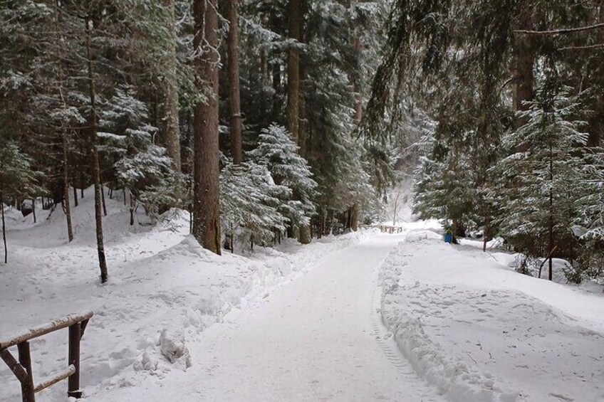 Hike and Sled in Borovets With a Visit of Royal Bistritsa Palace