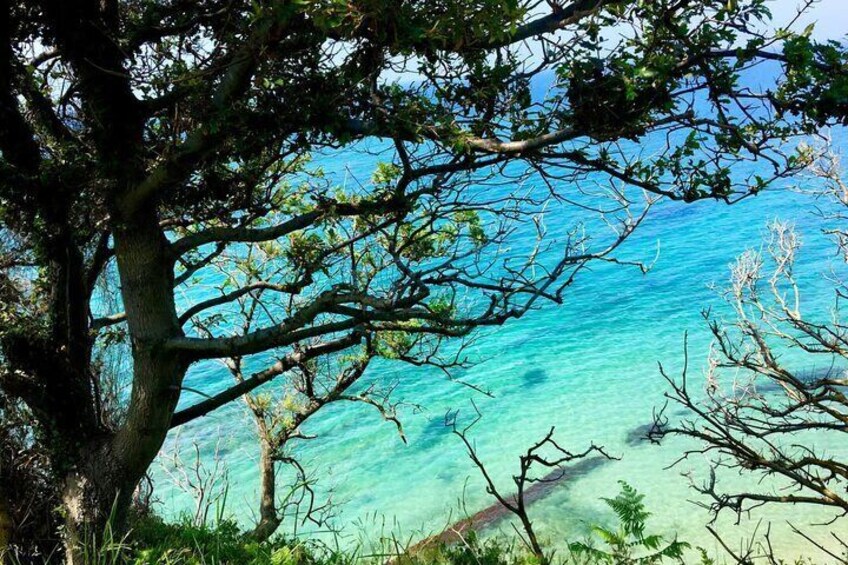 Cape of Rodon Day Tour Adventure from Durres