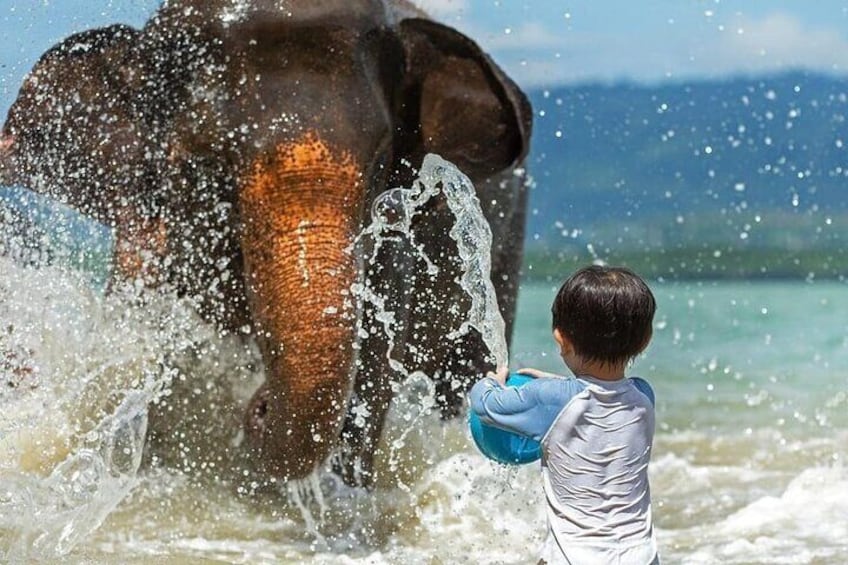 Krabi Immersive Elephant Sanctuary Experience