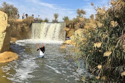 Excursion de luxe à Wadi El Hitan et chutes de Wadi El Rayan au départ du C...