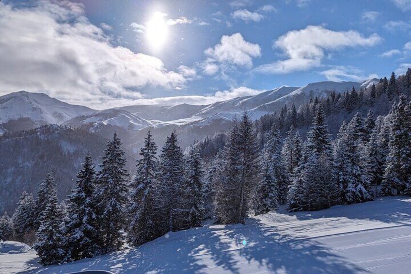 Bakuriani Borjomi Tour from Tbilisi