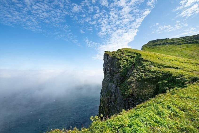 Experience the Cliffs of Hornstrandir