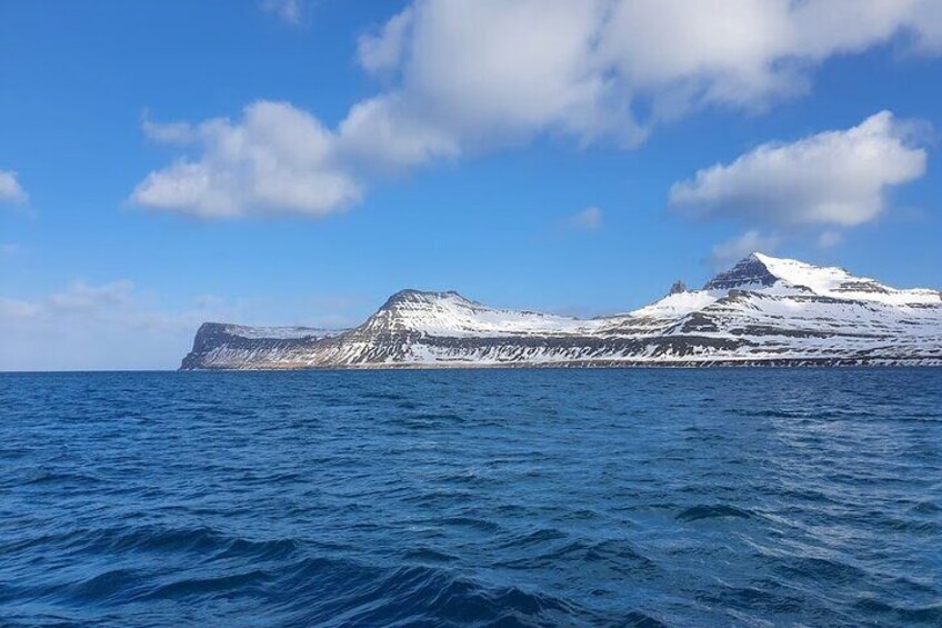Experience the Cliffs of Hornstrandir