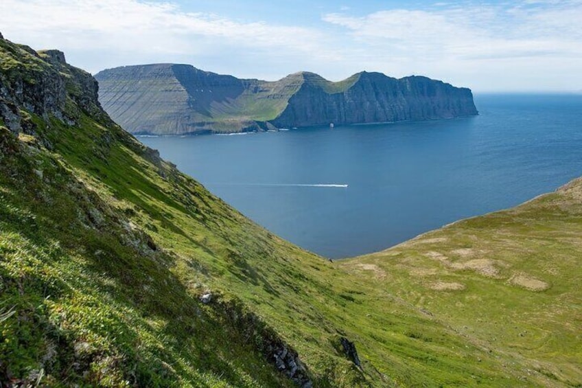 Experience the Cliffs of Hornstrandir