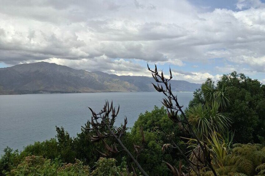 Queenstown Wanaka Private Tours from Dunedin