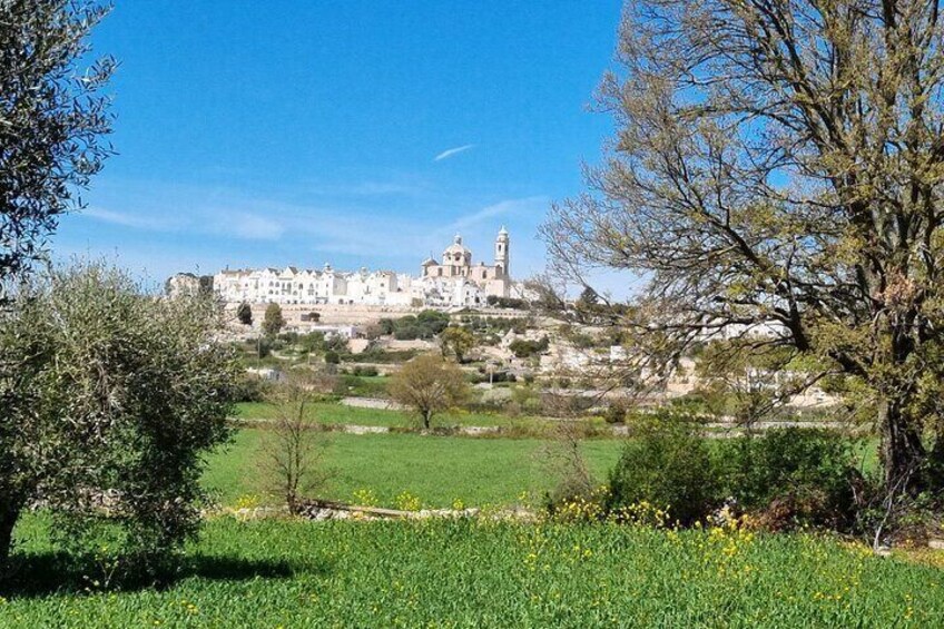 Guided e-bike tour from Locorotondo to Cisternino round trip