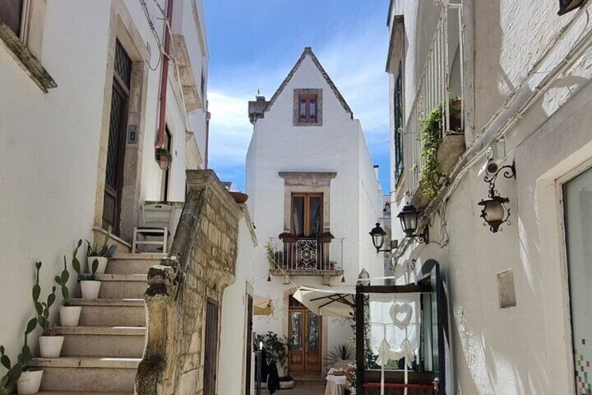 Guided e-bike tour from Locorotondo to Cisternino round trip