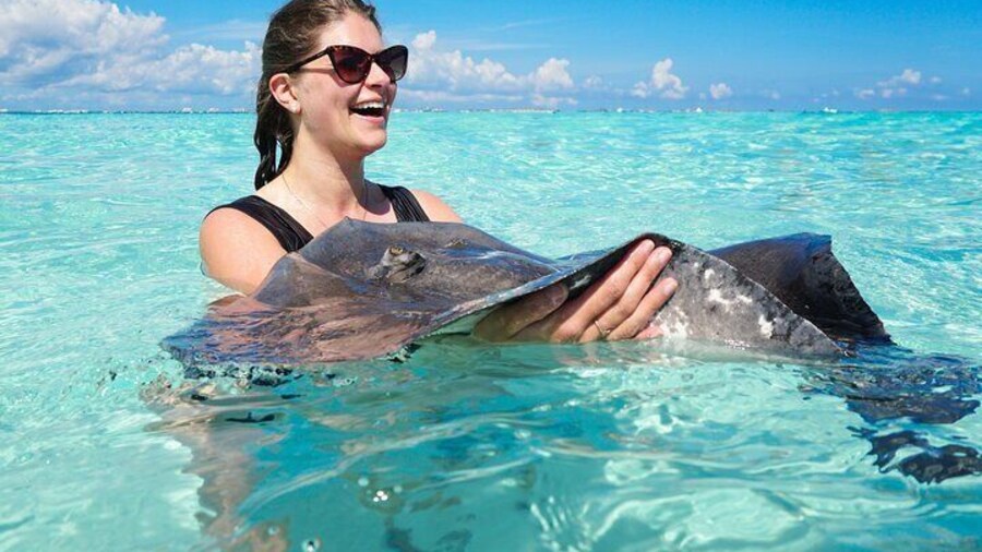Grand Cayman Catamaran Tour to Stingray City and Rum Point