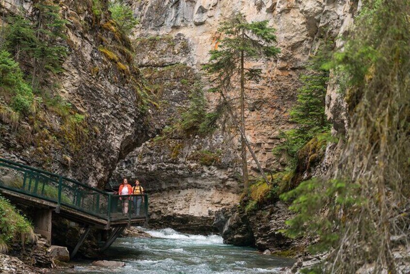 Day Tour to Banff Gondola Hot Springs Johnston Canyon Hiking