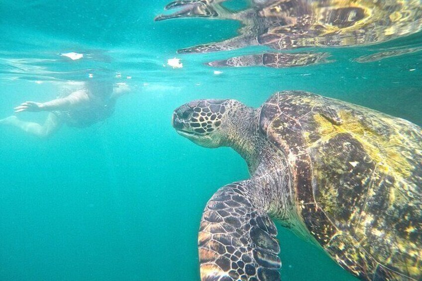 Magical Islands Tour: Snorkel, Kayak, Subwing in Turquoise Waters