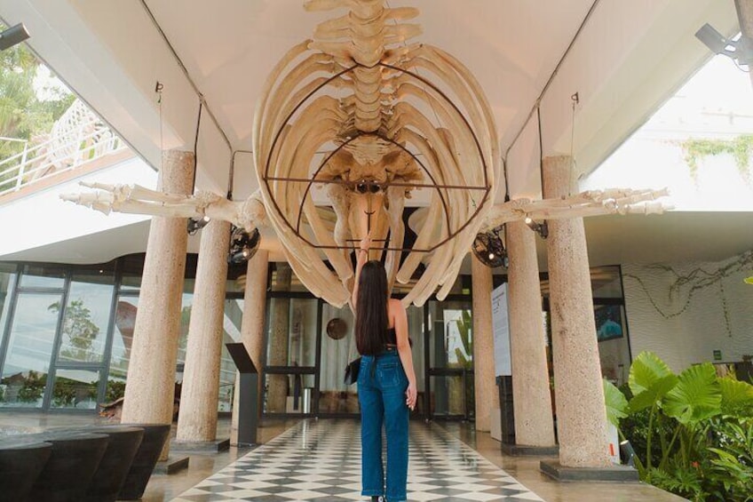 Munba National interactive Whale Museum