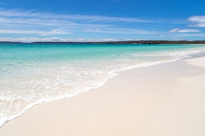 Jervis Bay Private Tour