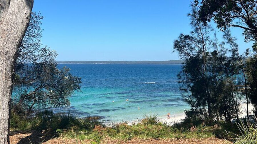 Jervis Bay Private Tour - Pick up & Drop off