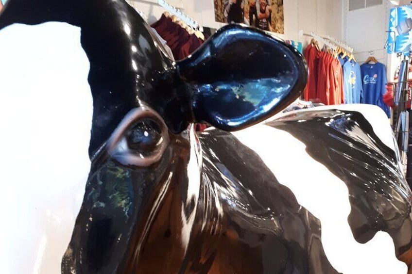 Niagara on the Lake Walk, Shop, Beer & Artisan Cheese Tasting