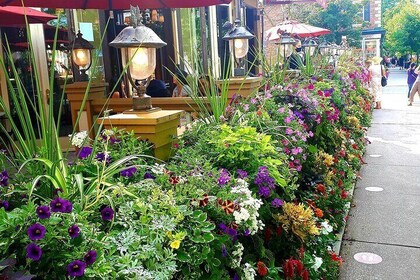 Niagara on the Lake Walking Tour w/Beer & Artisan Cheese Tasting