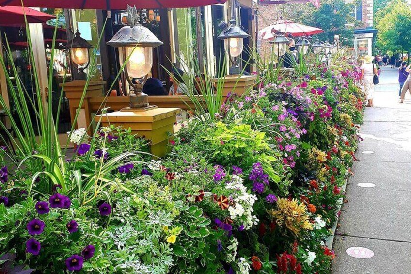 Niagara on the Lake Walk, Shop, Beer & Artisan Cheese Tasting