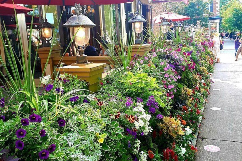 Niagara on the Lake Walk, Shop, Beer & Artisan Cheese Tasting