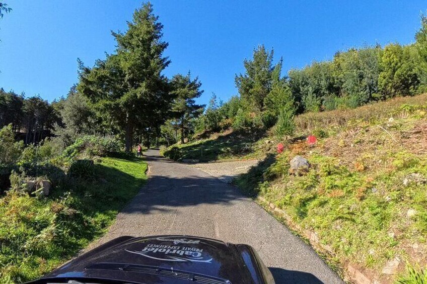 Funchal Cabriolet Scenic Roads Mountains and Viewpoints