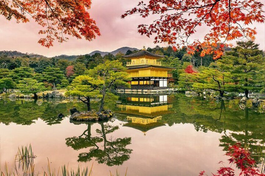 From Osaka or Kyoto Full Day Sightseeing Tour of Kyoto