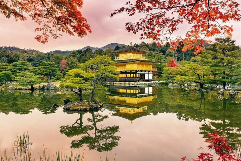From Osaka or Kyoto Full Day Sightseeing Tour of Kyoto
