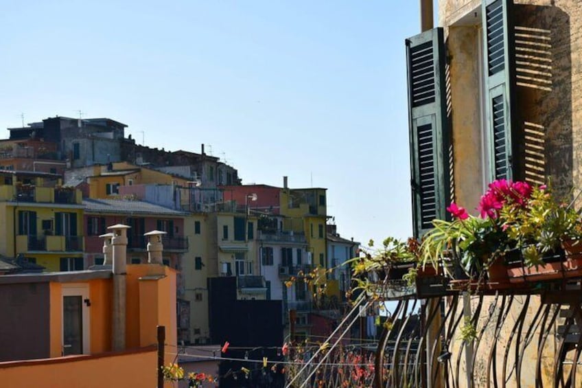 Cinque Terre from Genoa: Private Roundtrip Transfer & Local Driver Disposal 