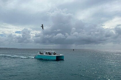 Private Snorkelling Experience in Aruba