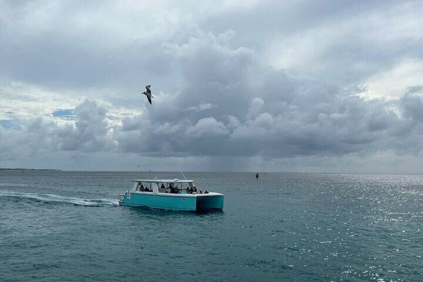 Private Snorkeling Experience in Aruba