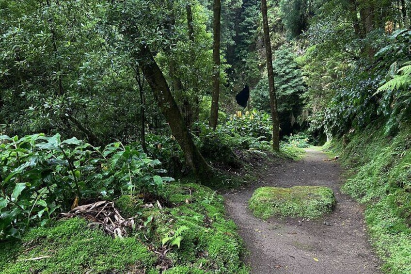 Full Day Hiking Trail Janela do Inferno + Caldeira Velha
