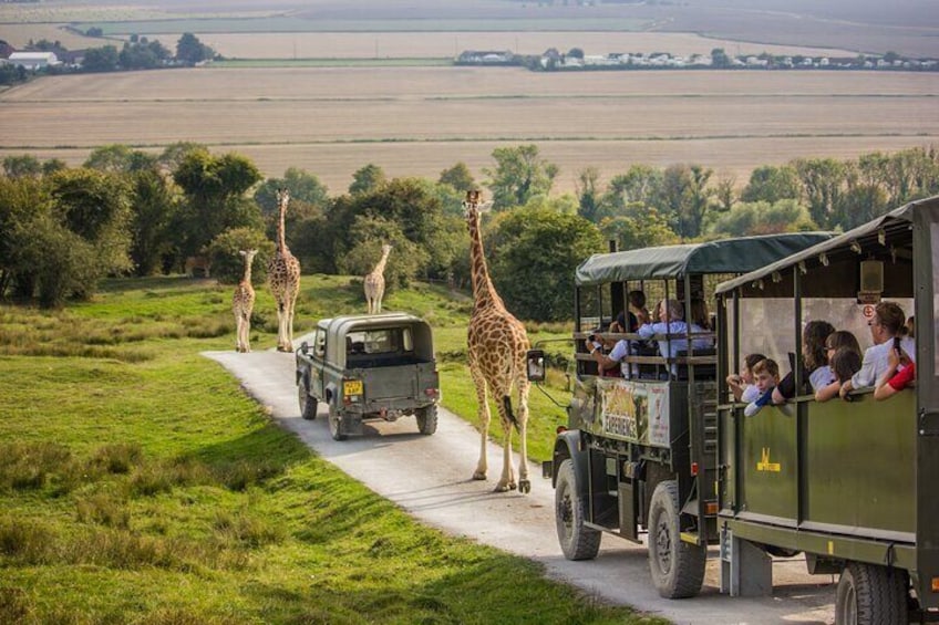 Port Lympne Day Ticket