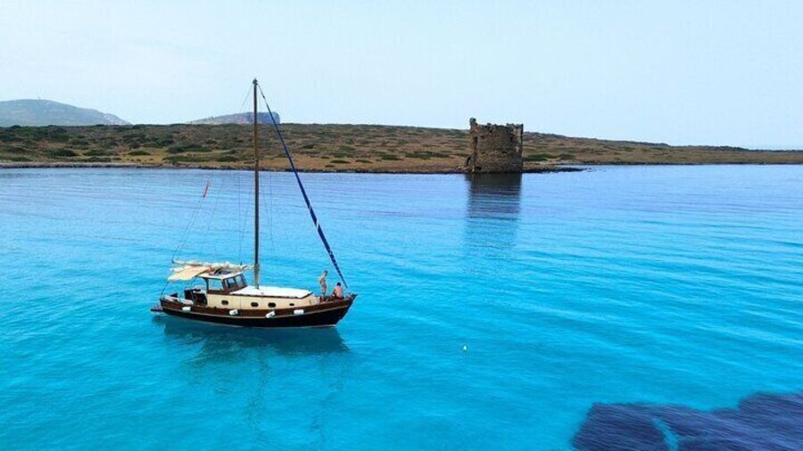 From Stintino: wooden boat excursion to Asinara Island