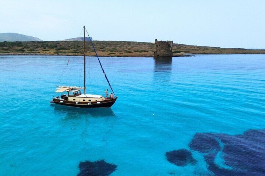 From Stintino: wooden boat excursion to Asinara Island