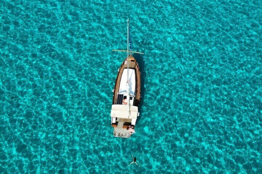 From Stintino: wooden boat excursion to Asinara Island
