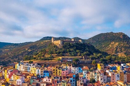 Panoramic Tour of Bosa from Alghero