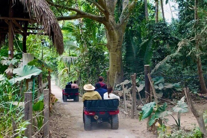 Yelapa Adventure Snorkeling and Village Discovery on ATV Taxi