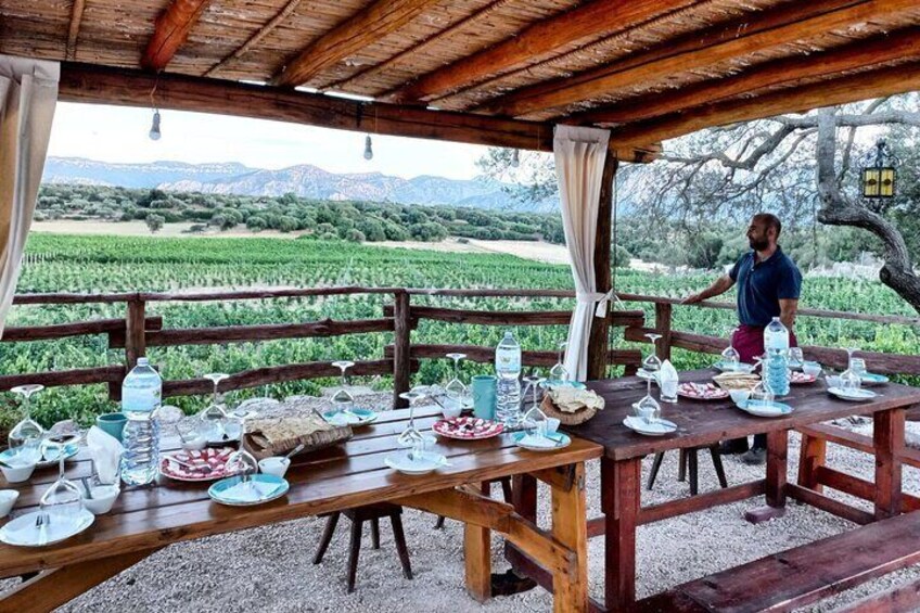 Visit of a Winery with Tasting in Dorgali 