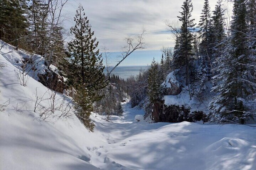 Wilderness Wellness Hike Forest Bathing