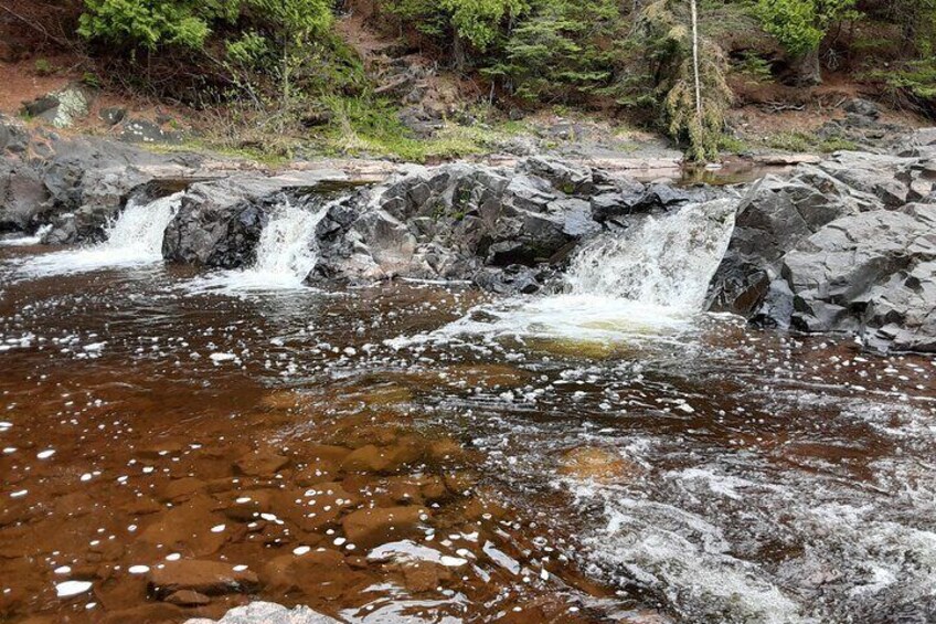 Forest Bathing Wellness Hike