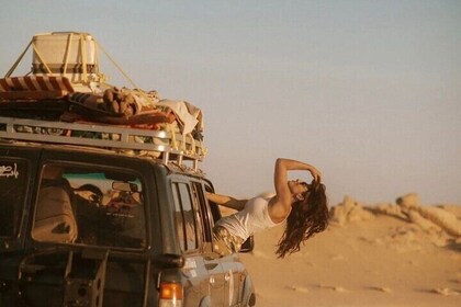 Fayoum Oasis Adventure A Day Trip Beyond Cairo