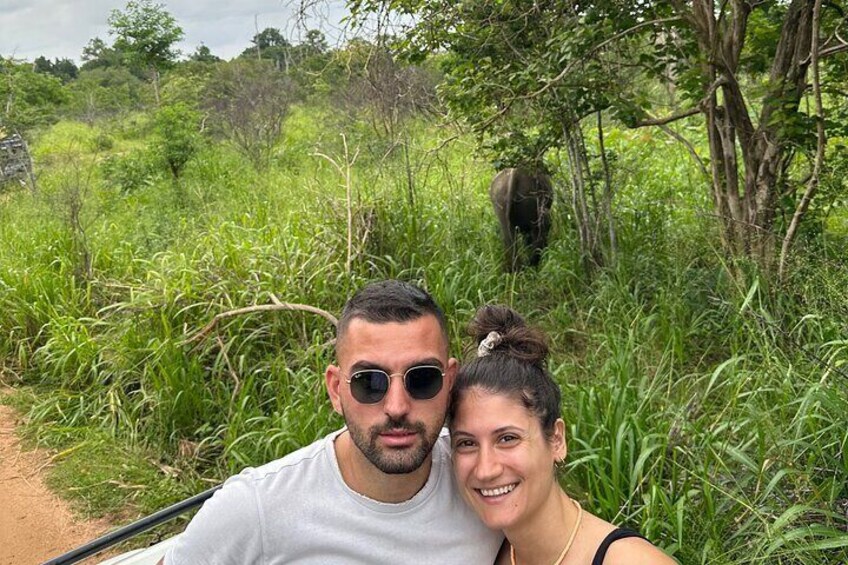 Minneriya safari time