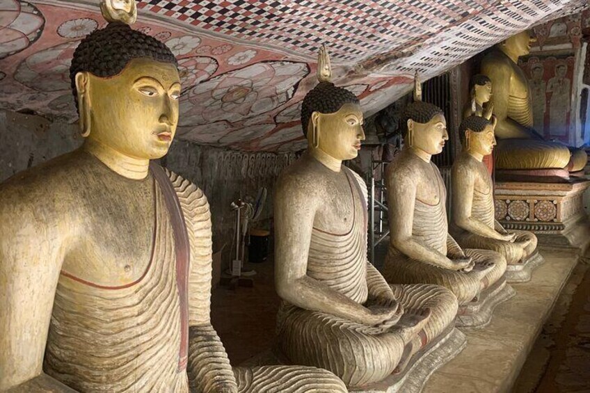 Discover Sigiriya Dambulla and Minneriya Park in Day Tour