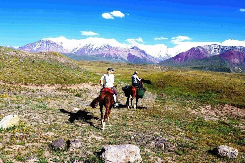 Horseback Riding in Alay Valley