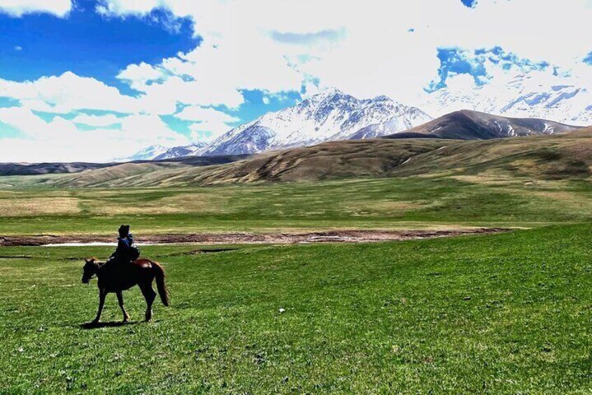 Horseback Riding in Alay Valley
