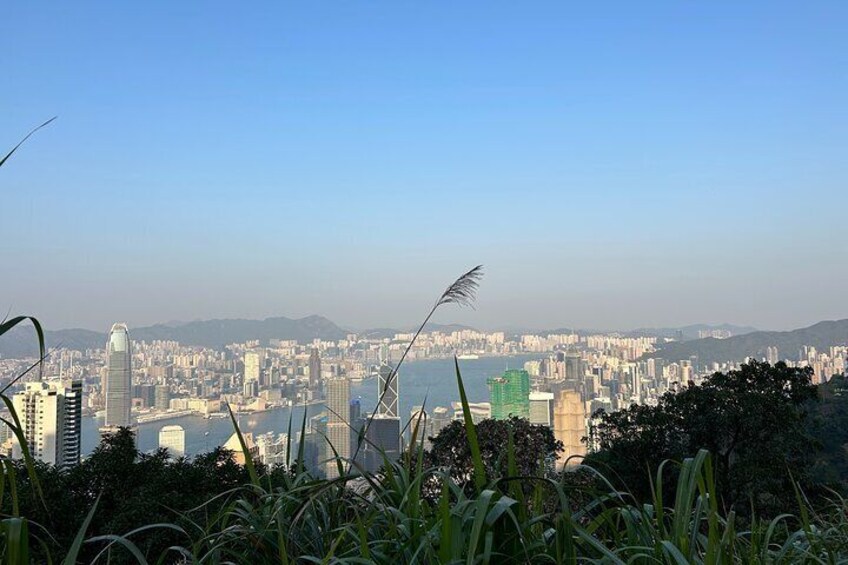 HongKong One Day Tour with Lunch and Public Transportation