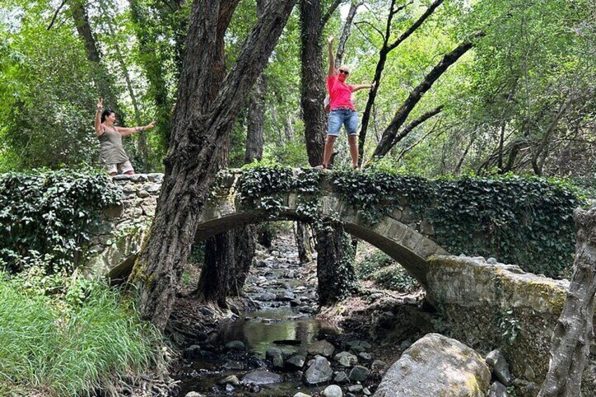 Nature, Village and Wine with a Private Guide in Troodos Mountain