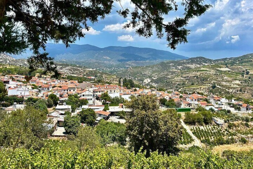 Nature, Village and Wine with a Private Guide in Troodos Mountain