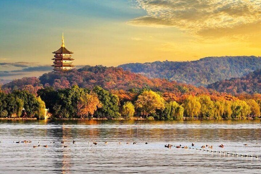 Hangzhou Private Customized Day Trip from SH by Bullet Train