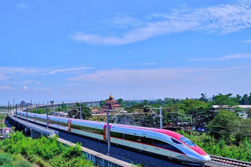 Hangzhou Private Customized Day Trip from SH by Bullet Train