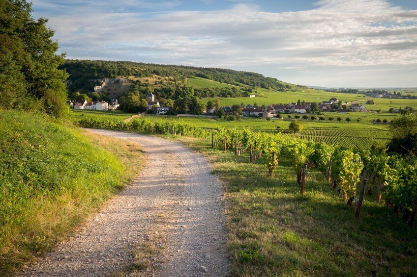  Dijon Wine Tours: Côte de Nuits Half-Day 
