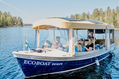 Privé Saimaa Story Cruise per Ecoboot in Puumala